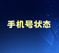 查询手机在网状态